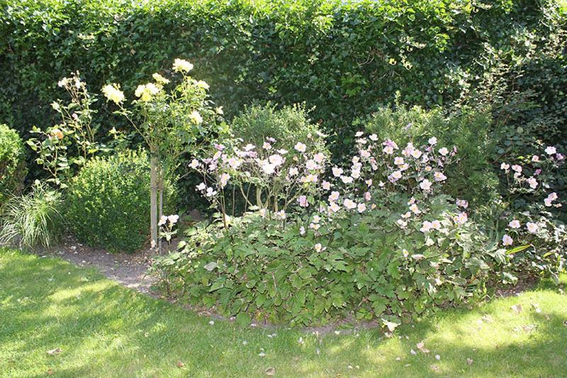 Krabbe Ist Ein Kleines Gemütliches Feriendomizil Für 4 Personen Im Haus Vogelsang. * Westerland